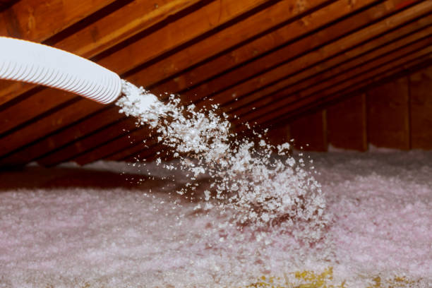 Best Insulation Installation Cost  in Oak View, CA