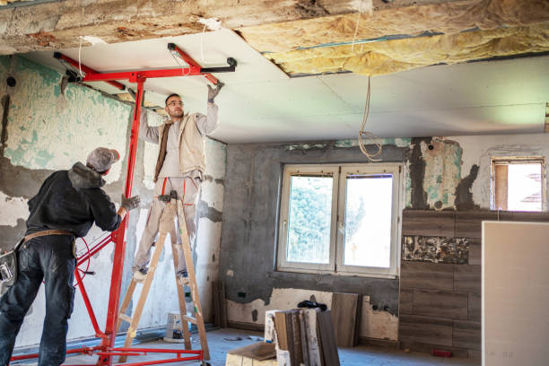 Best Wall Insulation Contractor  in Oak View, CA